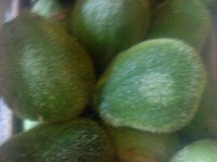 /album/productos/chayotescon-espina-jpg/